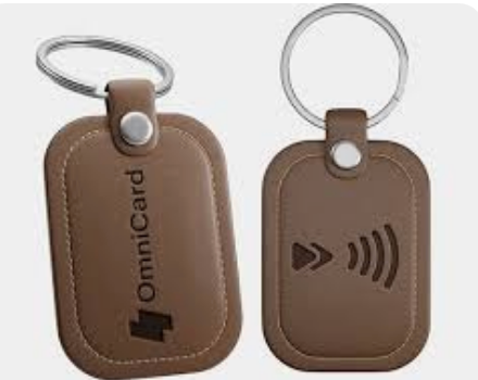 Omnicard Keychain